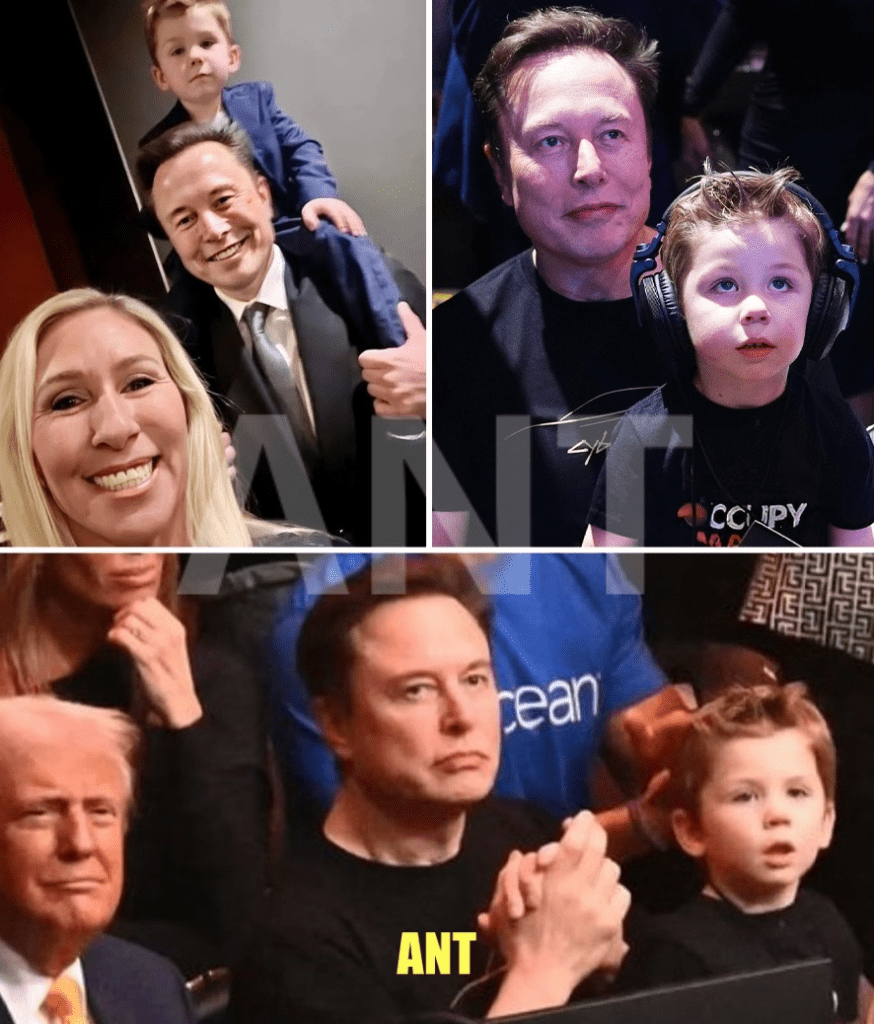 media 1
