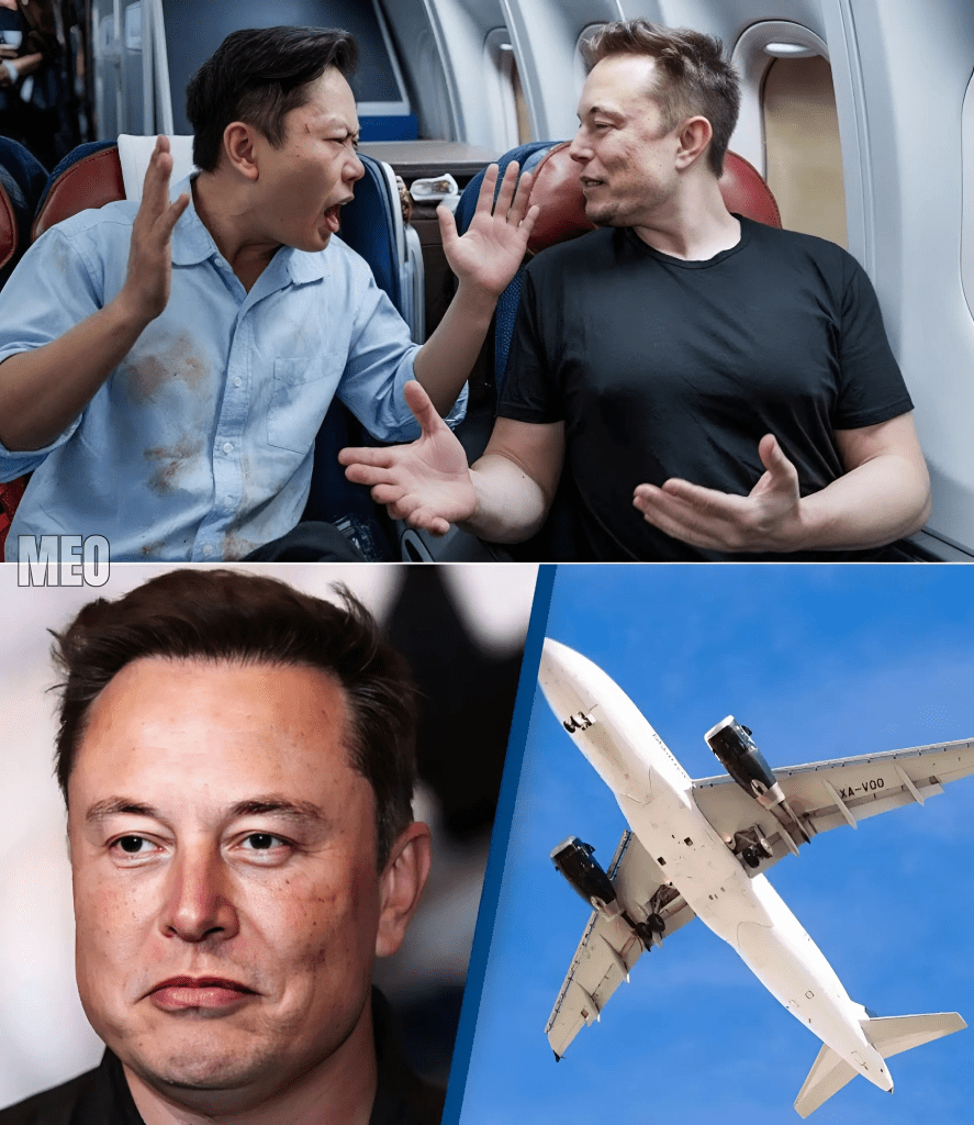 media 1