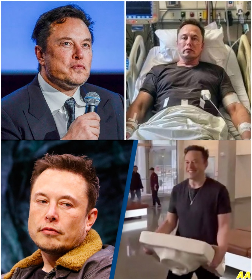media 1