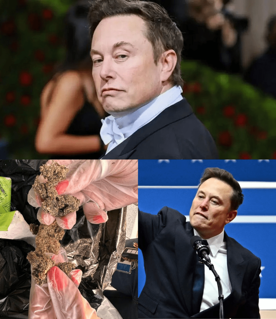 media 1