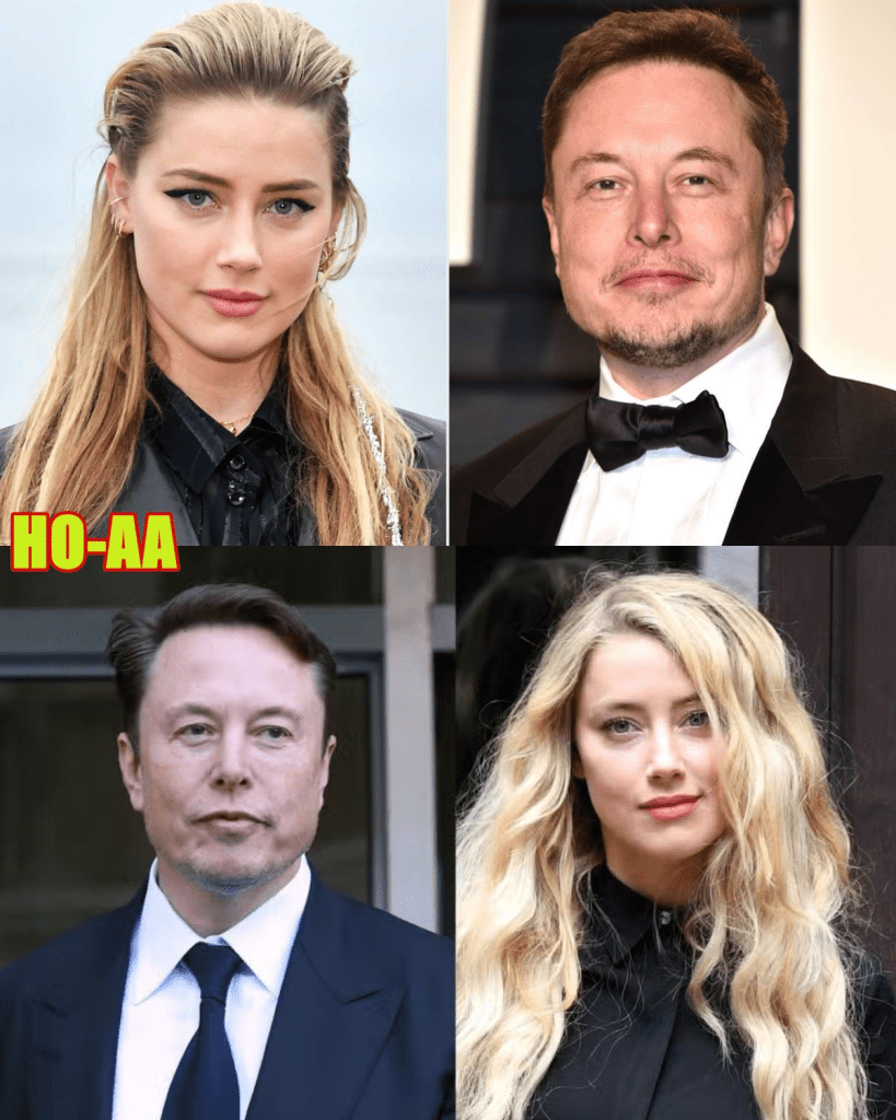 media 1