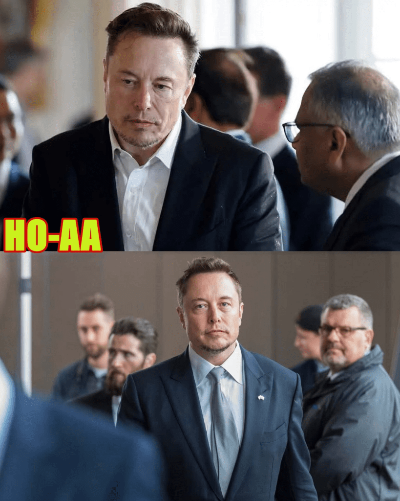 media 1
