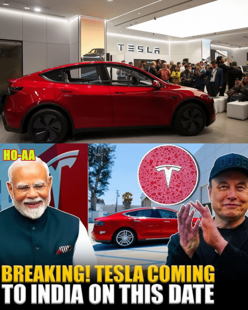 media 1