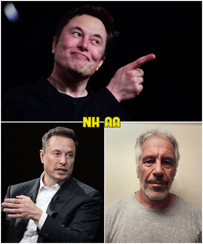 media 1