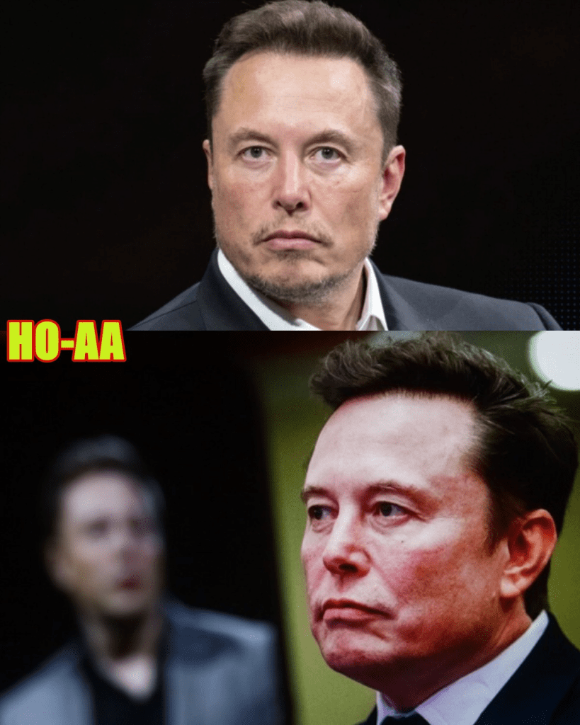 media 1