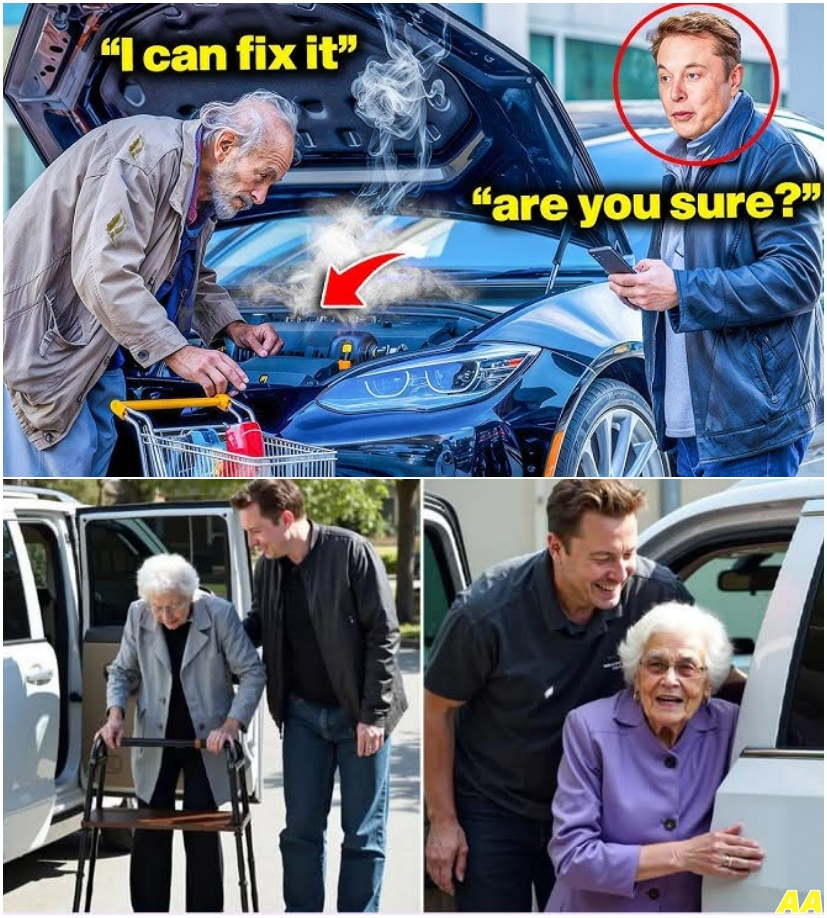 media 1