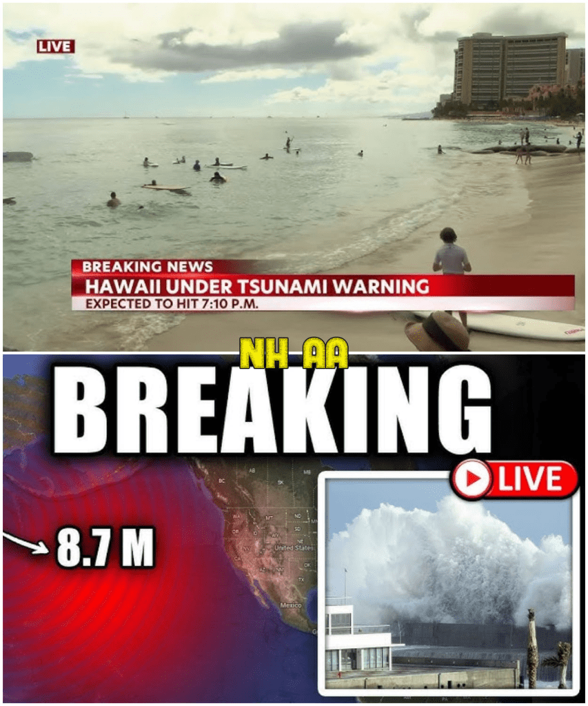 media 1