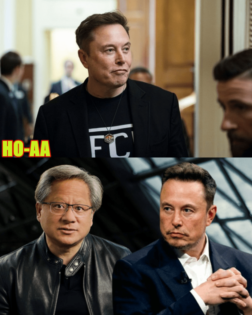 media 1