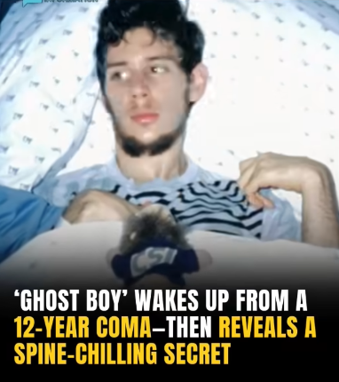 media 1