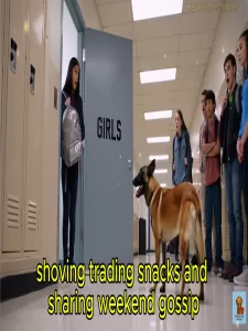 media 1