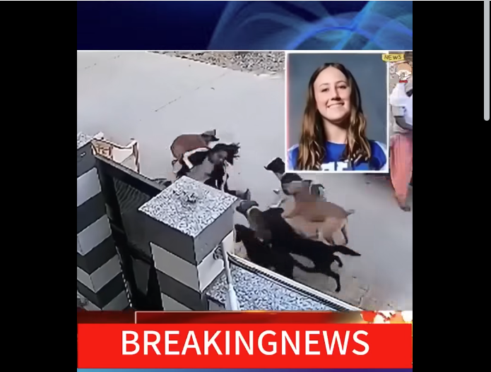 media 1